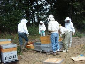 photo coins arrondis